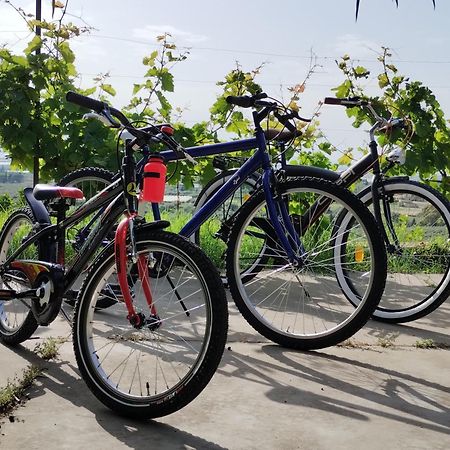 Ronnavona Casa Vacanze B&B 嘉拉蒙提·古非 外观 照片