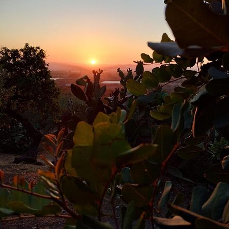 Ronnavona Casa Vacanze B&B 嘉拉蒙提·古非 外观 照片