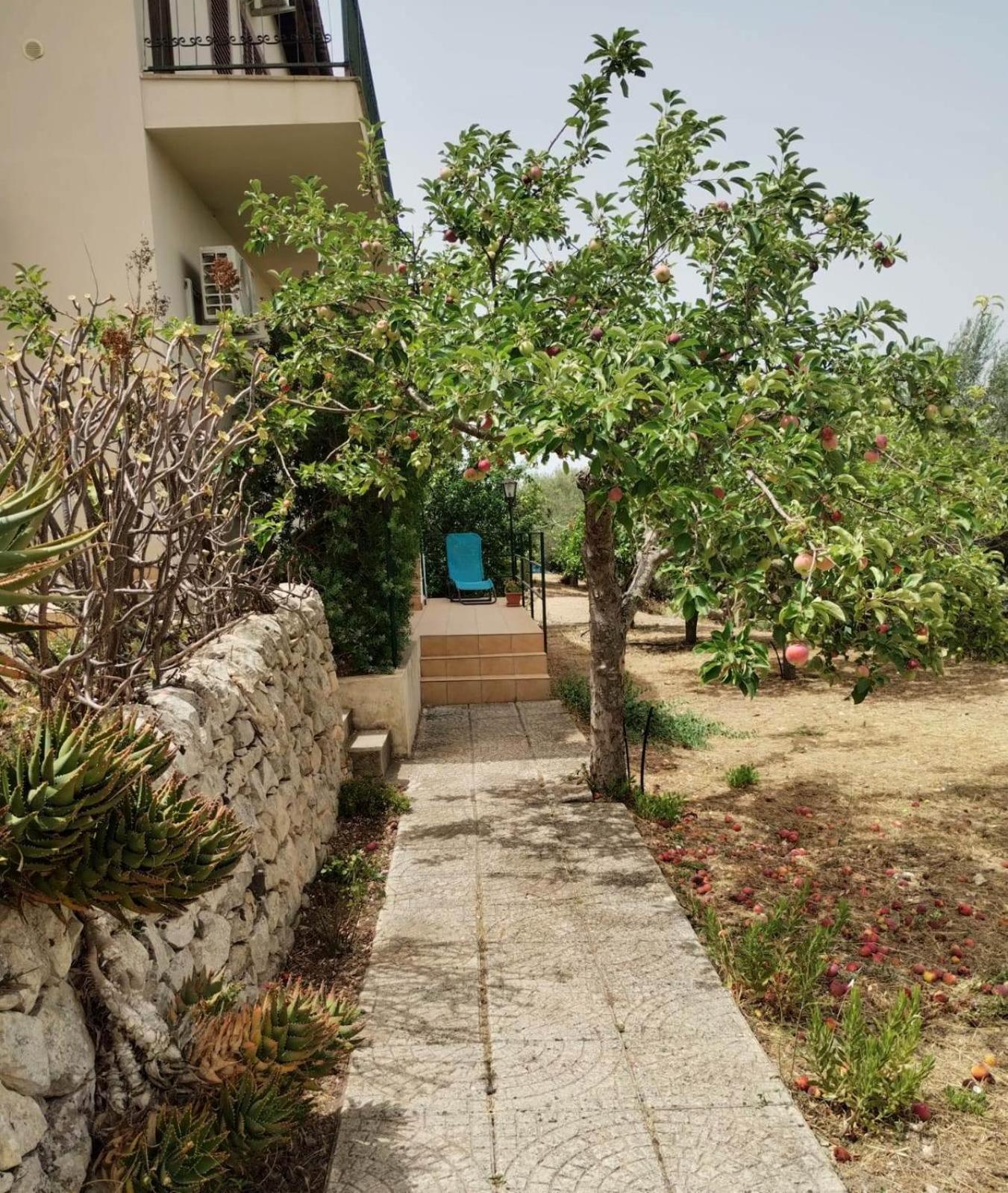 Ronnavona Casa Vacanze B&B 嘉拉蒙提·古非 外观 照片
