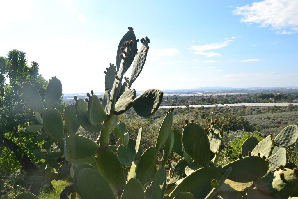 Ronnavona Casa Vacanze B&B 嘉拉蒙提·古非 外观 照片